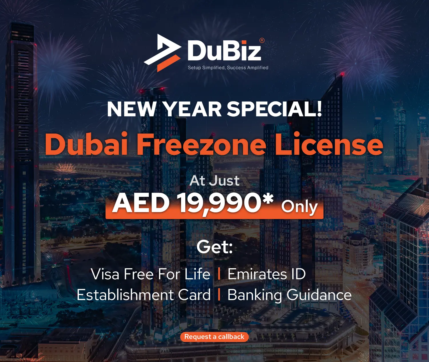 Dubiz New Year 2025 Offer